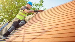 Best Asphalt Shingles Roofing  in Anoka, MN
