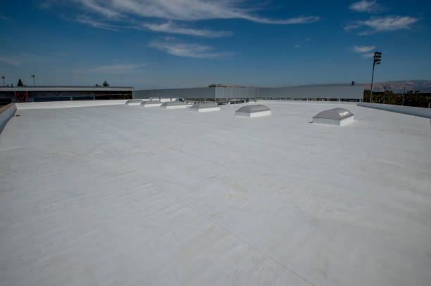 Best Roof Leak Repair  in Anoka, MN