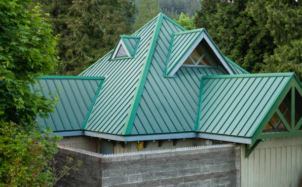 Best Asphalt Shingle Roofing  in Anoka, MN