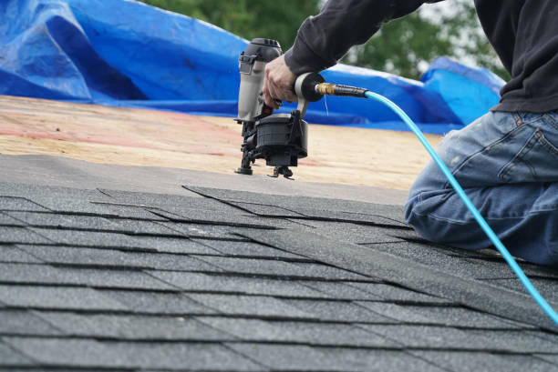 Emergency Roof Repair in Anoka, MN