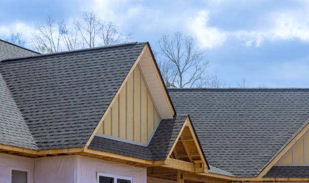 Best Chimney Flashing Repair  in Anoka, MN