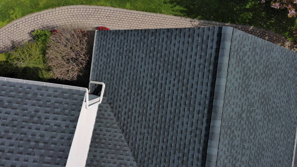 Best Roof Insulation Installation  in Anoka, MN