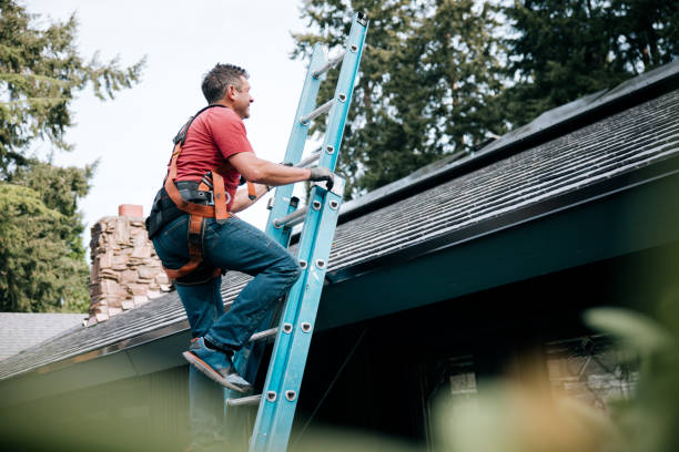 Best Rubber Roofing (EPDM, TPO)  in Anoka, MN