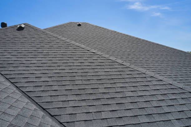 Best Solar Panel Roofing Installation  in Anoka, MN