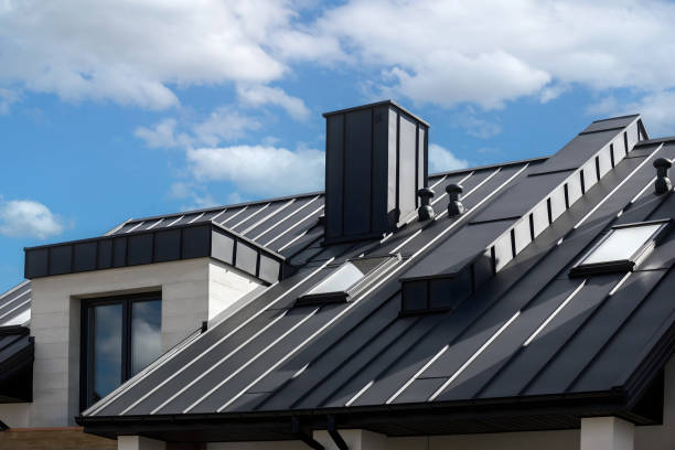 Best Roof Coating and Sealing  in Anoka, MN